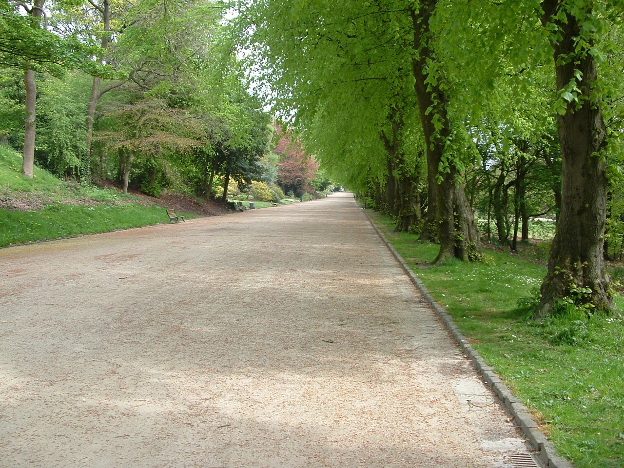 Broadwalk in spring Broadwalk in spring